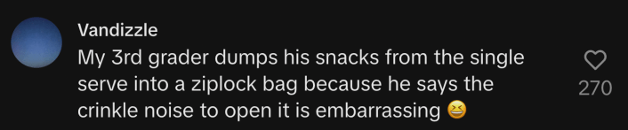 comment on @thestyliststeal TikTok video by user @vandizzle07 reads: my 3rd grader dumps his snacks from the single serve into a ziplock bag because he says the crinkle noise to open it is embarrassing