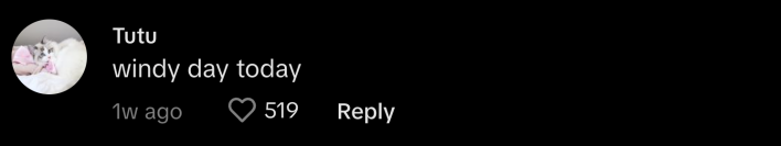 dream home cage for men TikTok trend