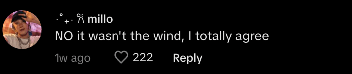 dream home cage for men TikTok trend