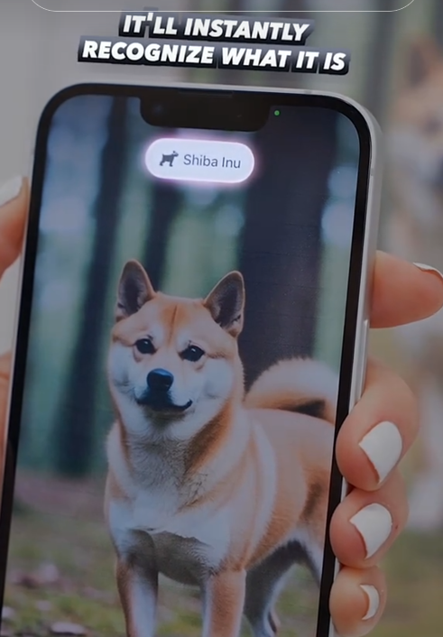 TikTok video showing how an iPhone identifies the breed of dog photographed.