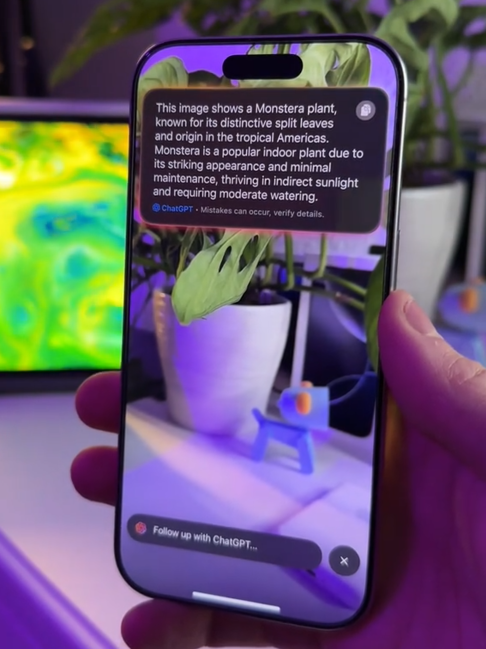 TikTok video showing an iPhone screen identifying the plant photographed with ChatGPT.