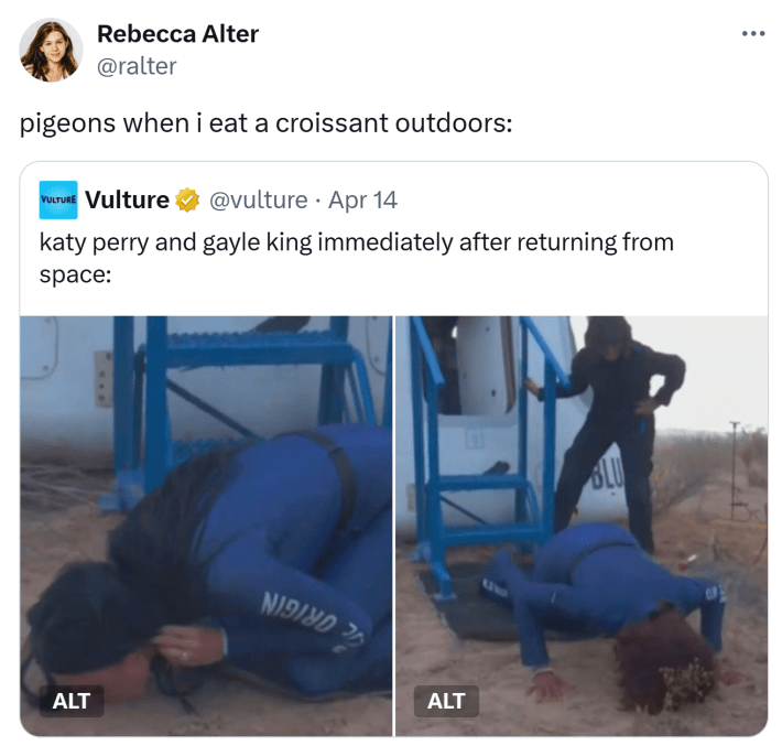 Tweet that reads, "pigeons when i eat a croissant outdoors:" with photos of Katy Perry and Gayle King kissing dirt upon landing.