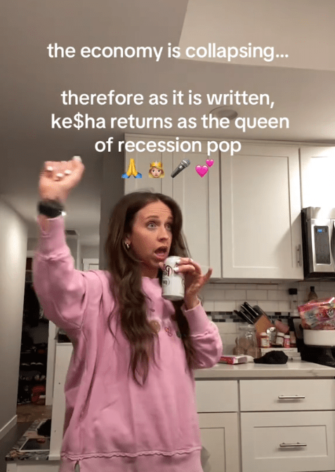 TikTok meme about the economy collapsing.