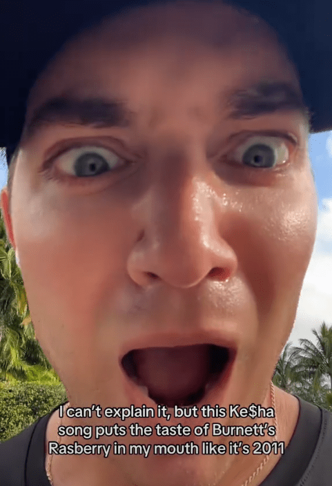 Kesha recession pop TikTok meme about the memory of Burnett's Raspberry.