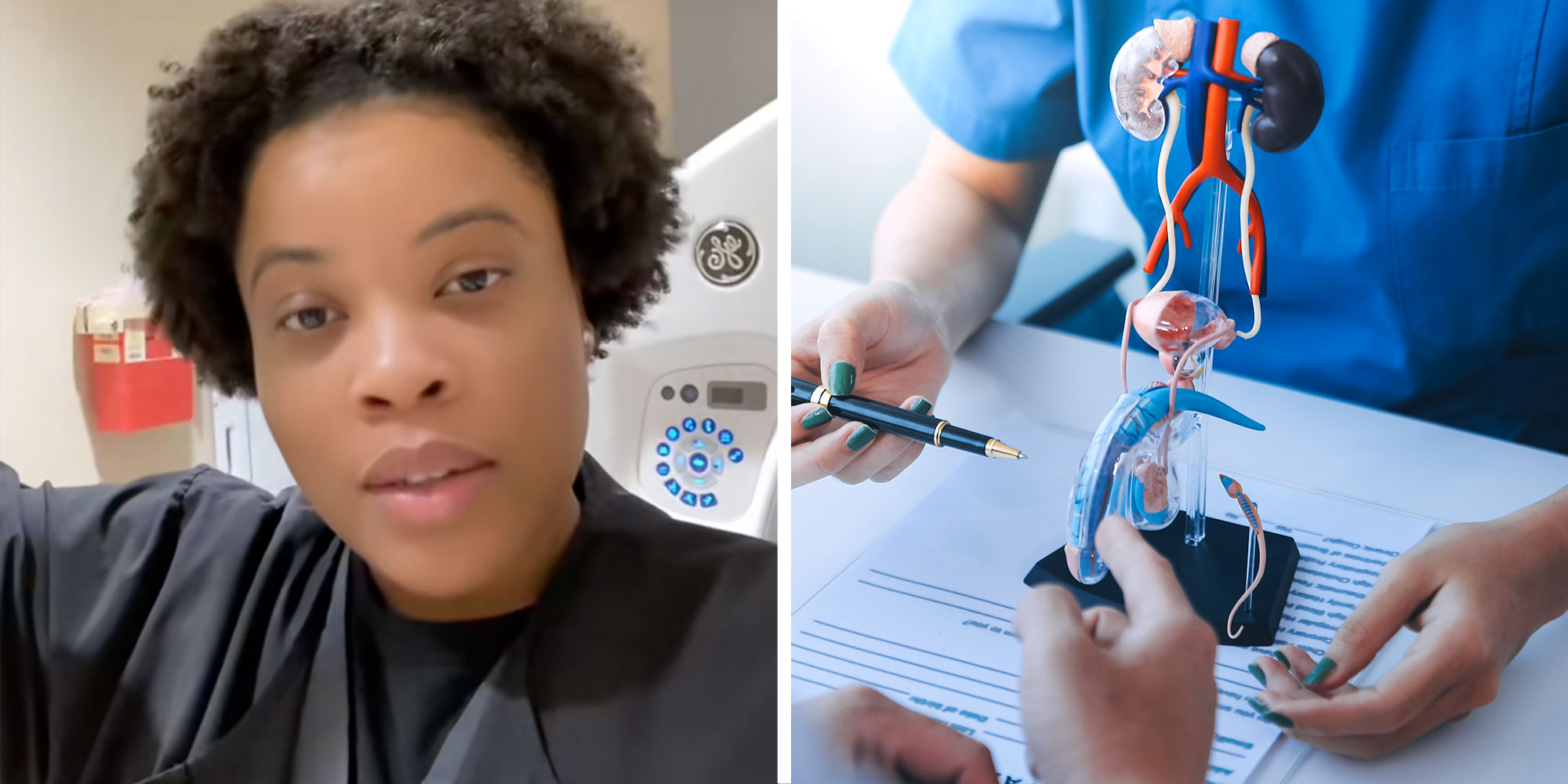 Screenshot of Tiktok user @xraybaeofficial; Photo of a medical profession with a model of the male urinary system.