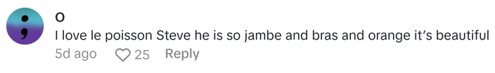 TikTok comment that says, "I love le poisson Steve he is so jambe and bras and orange it’s beautiful"