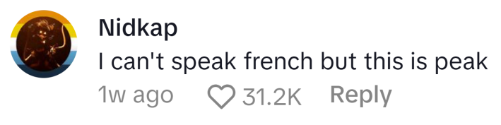 TikTok comment that says, "I can't speak french but this is peak"