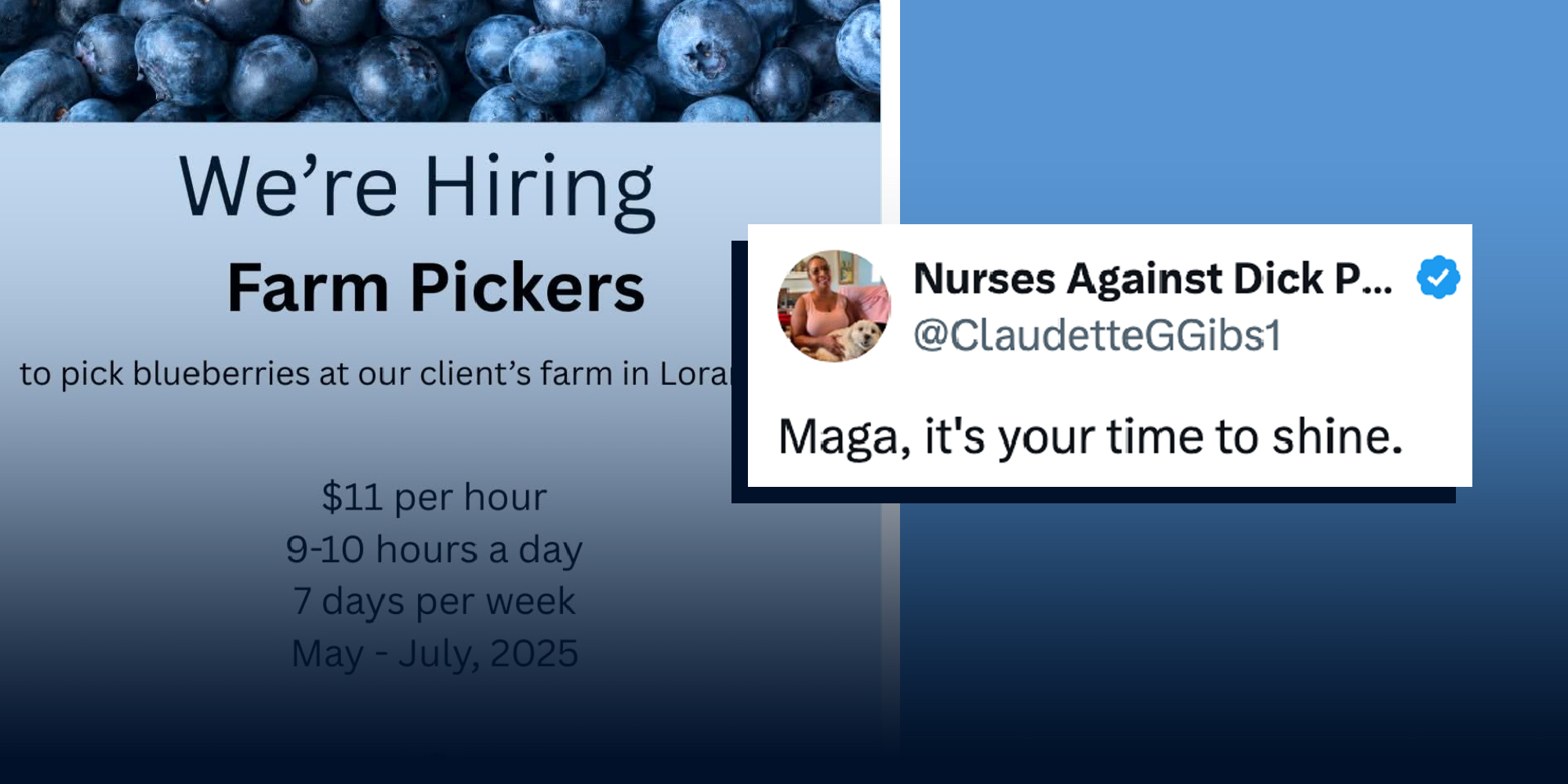 Screenshot of an ad for farm pickers and a tweet.