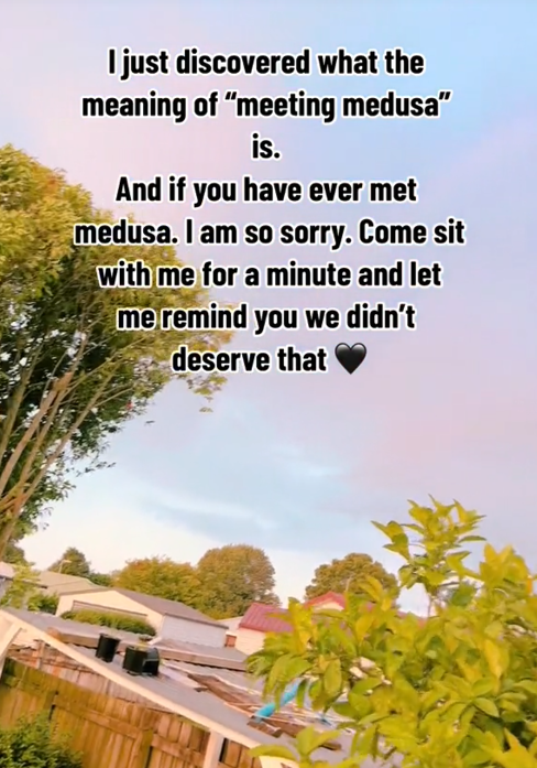 TikTok video of a skyline with a caption reading "I just discovered what the meaning of 'meeting medusa' is. And is you have ever met medusa. I am so sorry. Come sit with me for a minute and let me remind you we didn't deserve that."