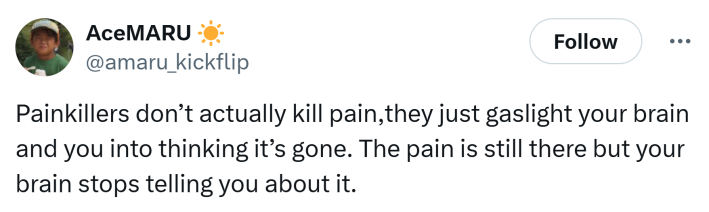 Tweet that says, "Painkillers don’t actually kill pain,they just gaslight your brain and you into thinking it’s gone. The pain is still there but your brain stops telling you about it."