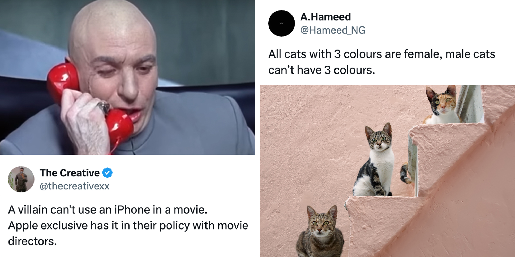 2 panel image: Dr. Evil on the left and cats on the right.