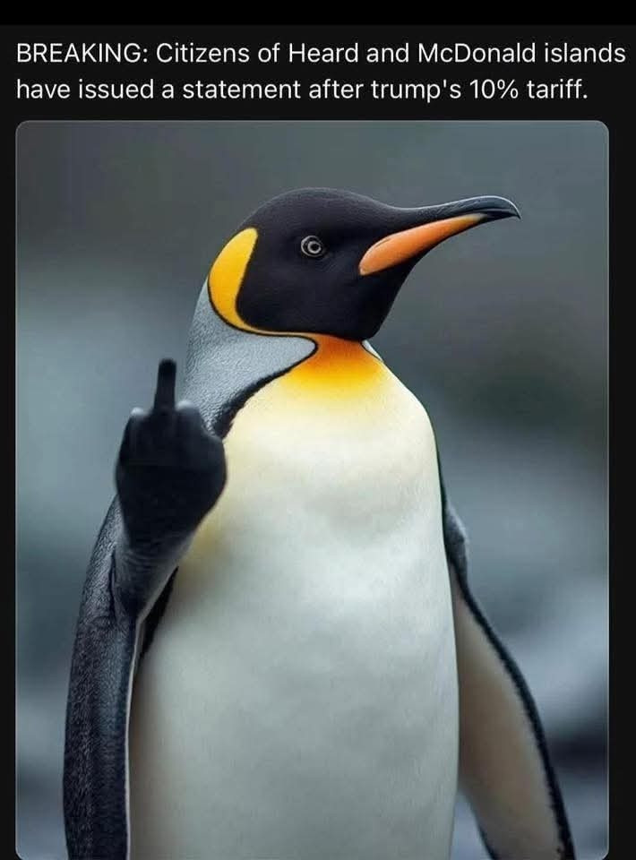 Penguin giving the middle finger.