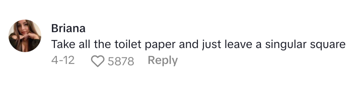 TikTok comment that reads, "Take all the toilet paper and just leave a singular square."