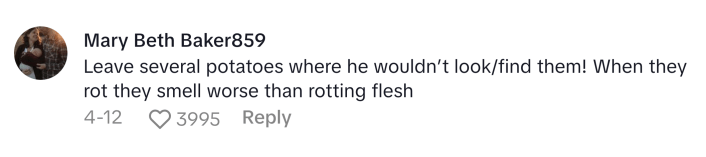 TikTok comment that reads, "