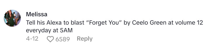 TikTok comment that reads, "Tell his Alexa to blast 'Forget You' by Ceelo Green at volume 12 everyday at 5AM"