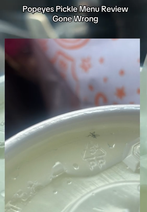 Close up shot of a fly stuck to the underside of a fast food drink lid.