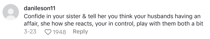TikTok comment, text reads, "Confide in your sister & tell her you think your husbands having an affair, she how she reacts, your in control, play with them both a bit"