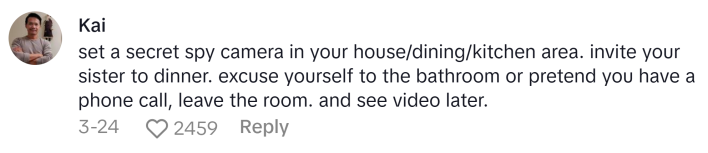 TikTok comment, text reads, "set a secret spy camera in your house/dining/kitchen area. invite your sister to dinner. excuse yourself to the bathroom or pretend you have a phone call, leave the room. and see video later."