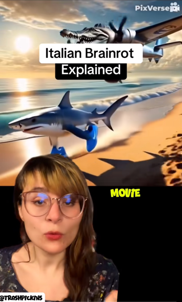 TikToker explaining Italian Brainrot memes, Tralalero Tralala being chased down the beach by Bombardino Crocodilo.