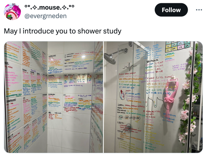 "May I introduce you to shower study" with photos of a white shower covered in rainbow notes.