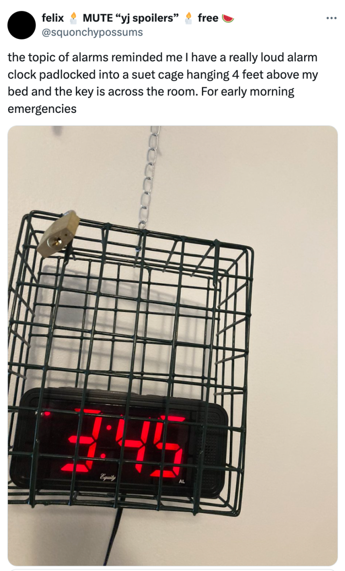 "the topic of alarms reminded me I have a really loud alarm clock padlocked into a suet cage hanging 4 feet above my bed and the key is across the room. For early morning emergencies" with a photo of said alarm clock.