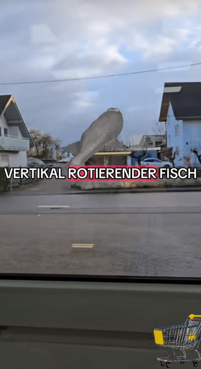 3D fish rotating in the air.