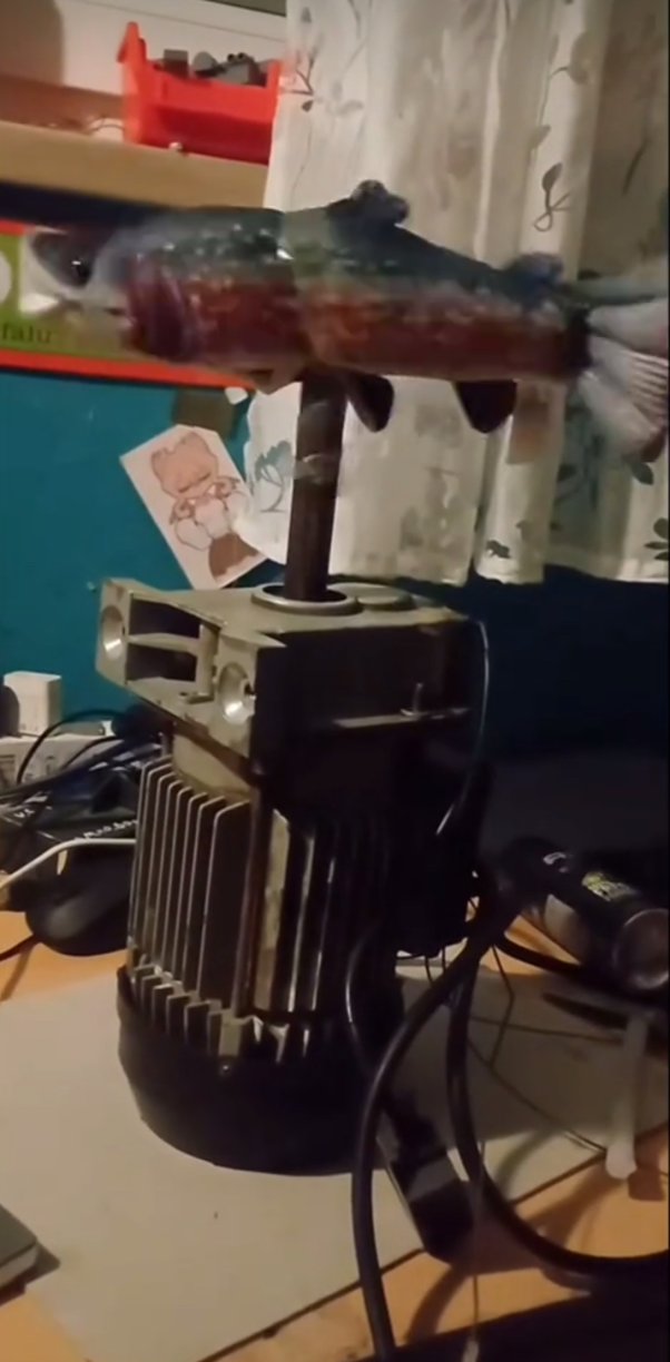 A fish spinning horizontally on a tool.