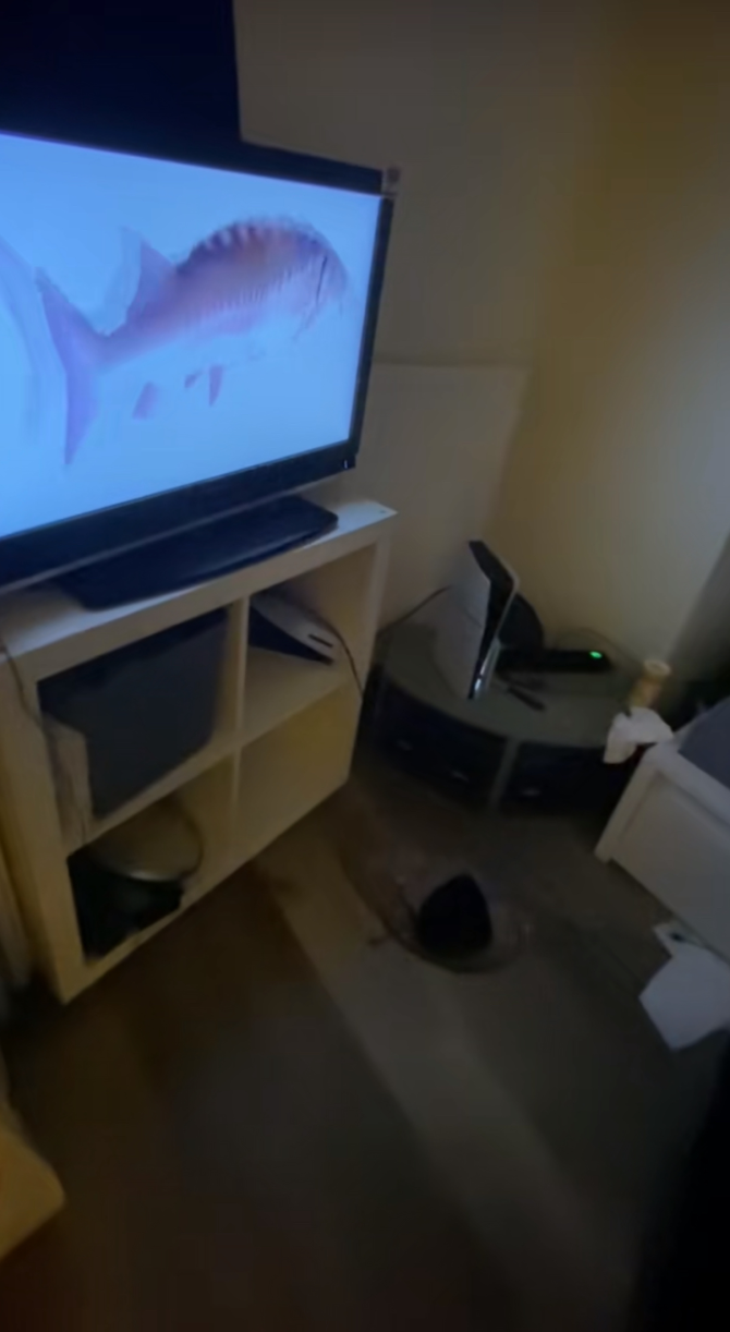 A fish spinning horizontally on a TV screen.