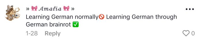 TikTok comment that says, "Learning German normally ('no' emoji) Learning German through German brainrot (checkmark)"