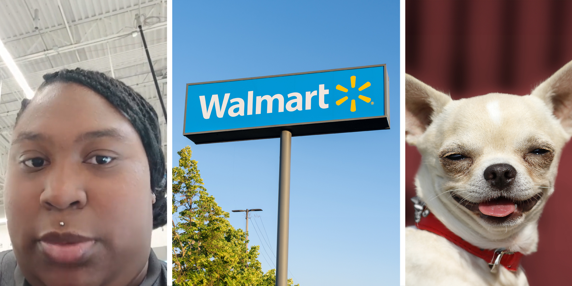 3 panel image: a person explains, a Walmart sign, and a dog smiles.