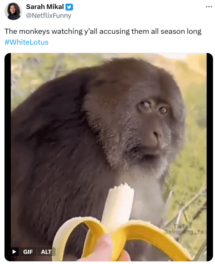 Tweet that says, "The monkeys watching y’all accusing them all season long" with a photo of a grumpy monkey and a banana.