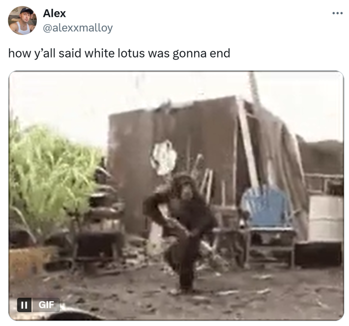 Tweet that says, "how y’all said white lotus was gonna end" with a GIF of a monkey with a gun.