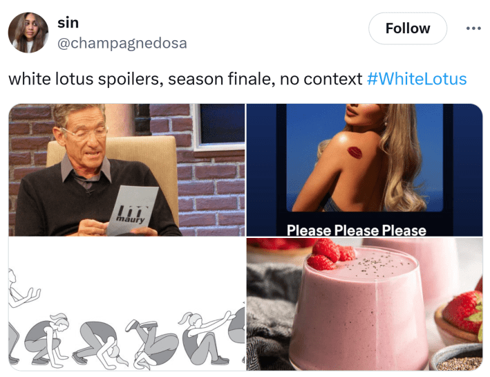 Tweet that says, "white lotus spoilers, season finale, no context" with unrelated photos.