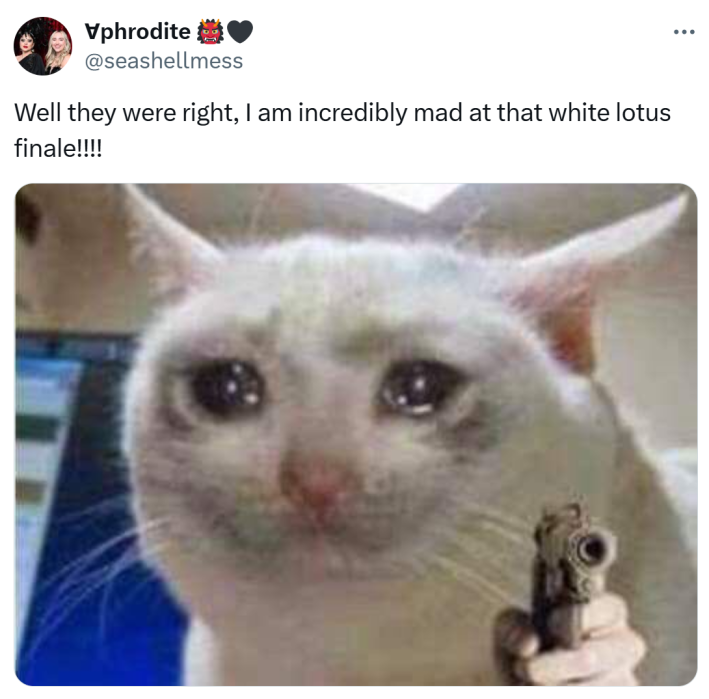 Tweet that says, "Well they were right, I am incredibly mad at that white lotus finale!!!!" with a photo of sad cat with a gun.
