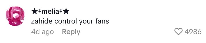 TikTok comment reads, "zahide control your fans"