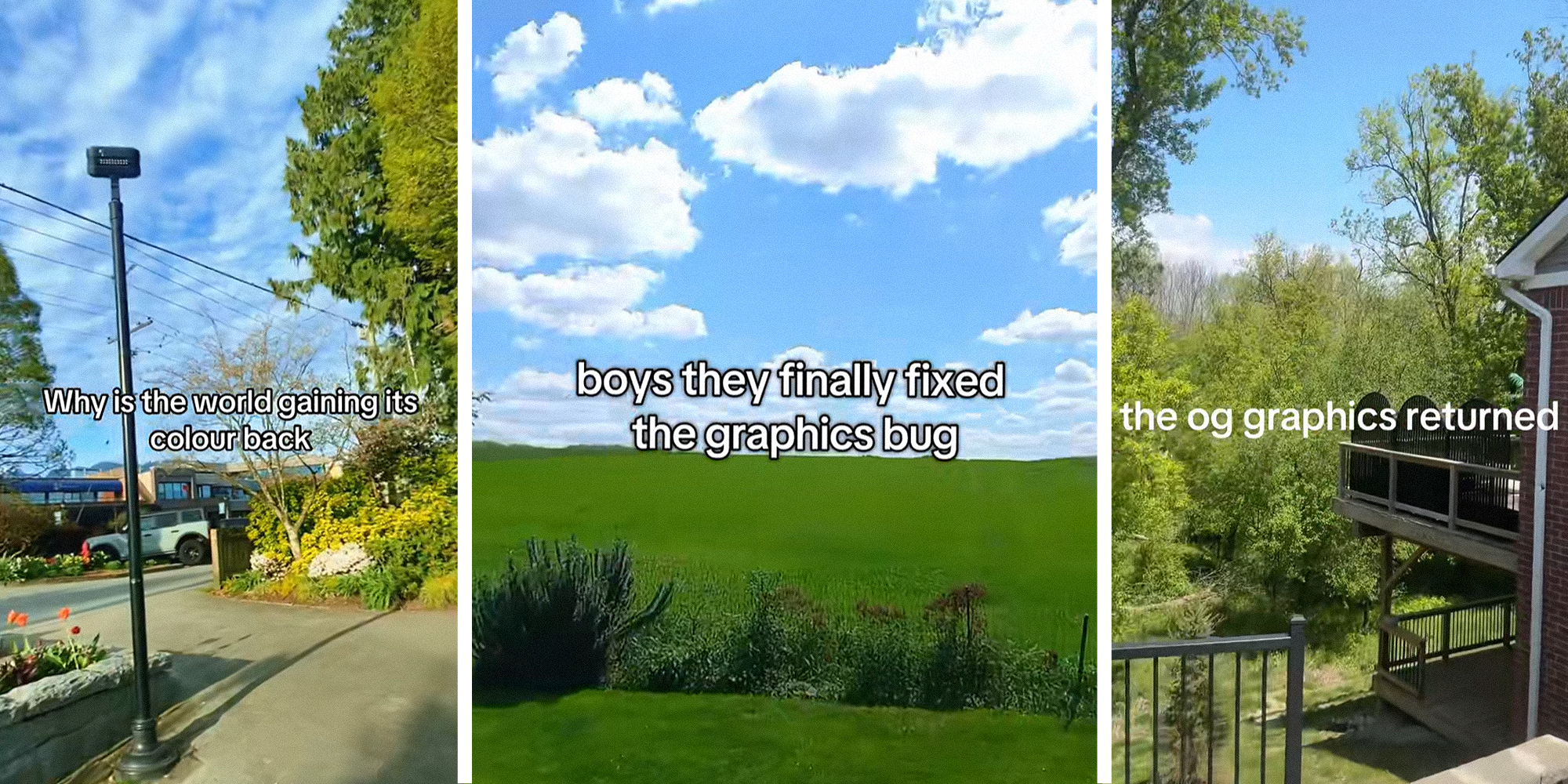 Outdoor image of sky and trees with caption that reads: "why is the world gaining its color back" on left. Image of bright cloudy sky and green hill with caption that reads: "boys they finally fixed the graphics bug" in center. Image of trees and blue sky with caption that reads: "the OG graphics returned" on right.