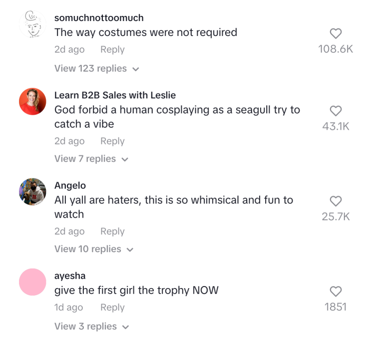 Comments on Gull contest