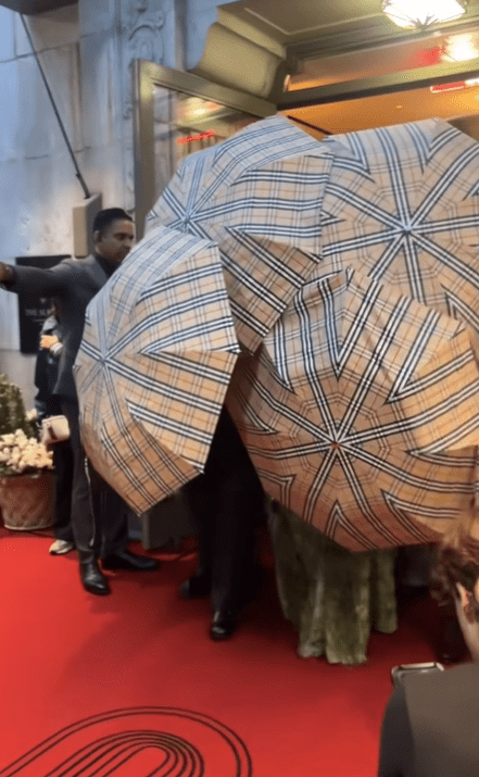 Screenshot from a tiktok video of cardi b at the met gala