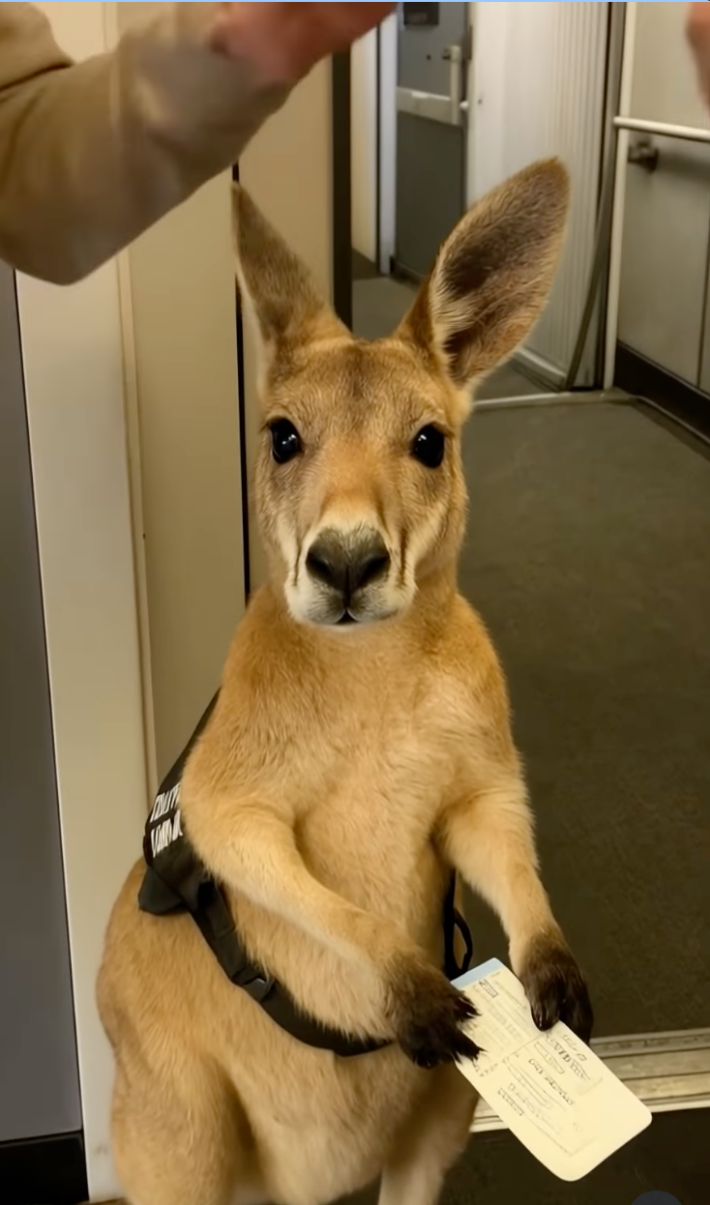 Infiniteunreality Instagram