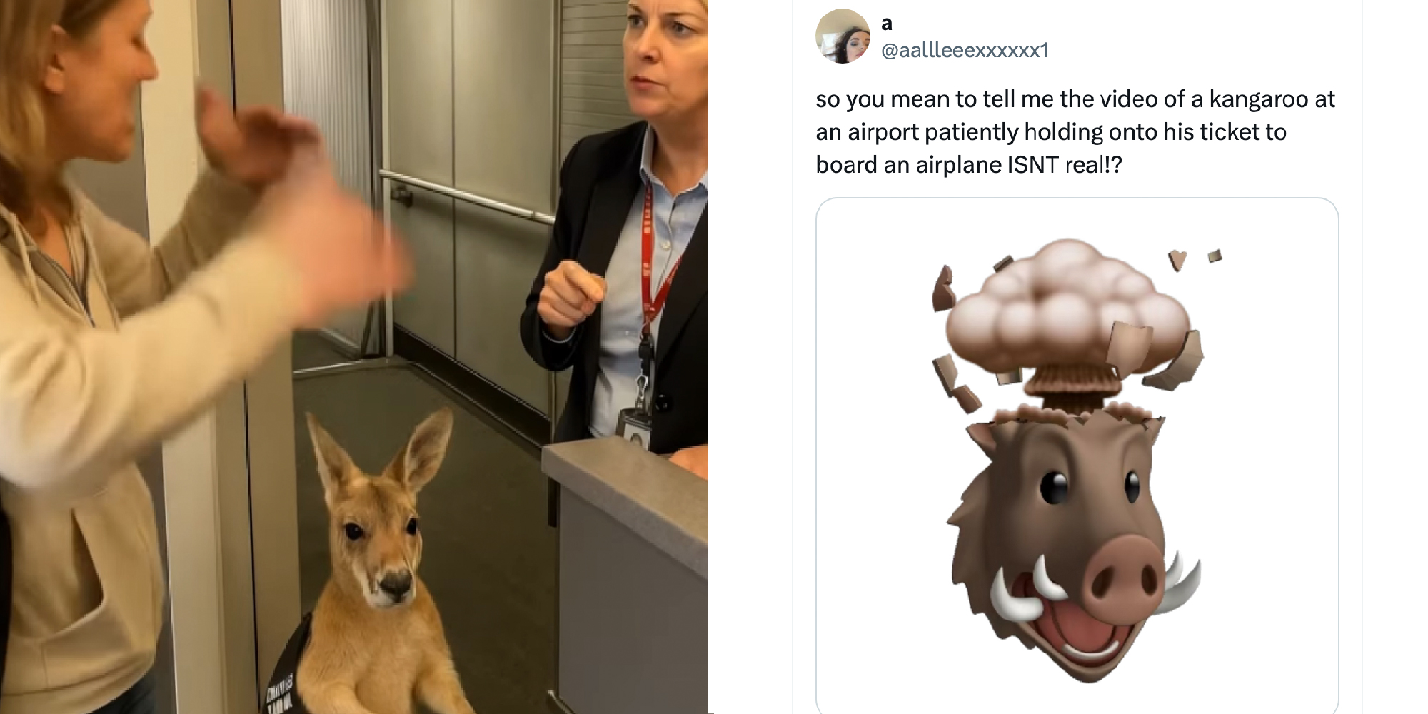 2 panel image: on the left is an A.I. generated video and on the right is a person's reaction on X which reads: so you mean to tell me the video of a kangaroo at an airport patiently holding onto his ticket to board an airplane ISNT real!?