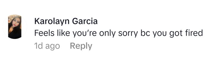 TikTok comment, text reads, "Feels like you’re only sorry bc you got fired"