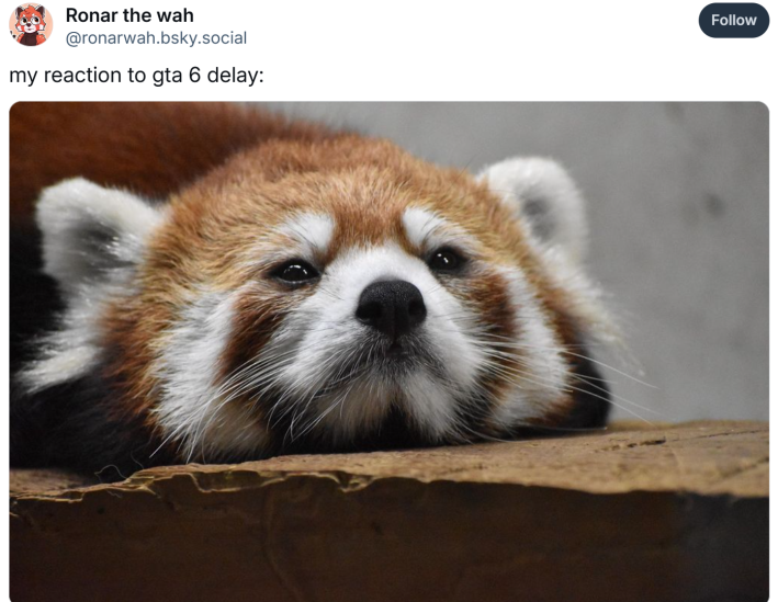 Post about GTA 6 getting delayed. Text reads, "my reaction to gta 6 delay:" with a photo of a sad-looking red panda.
