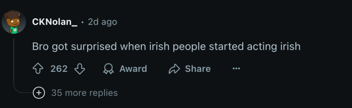 “Bro got surprised when Irish people started acting Irish,” said u/CKNolan_.
