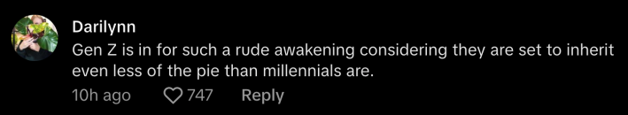 “Gen Z is in for such a rude awakening considering they are set to inherit even less of the pie than Millennials are,” commented @plantfrienddownthestreet.