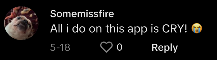 “All I do on this app is cry!” is another popular response. @somemissfire/TikTok