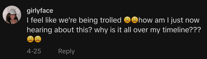 “I feel like we're being trolled 😩😩how am I just now hearing about this? why is it all over my timeline???😩😩,” TikTok user @thegirlyface replied to a Swedish Taco explainer video.