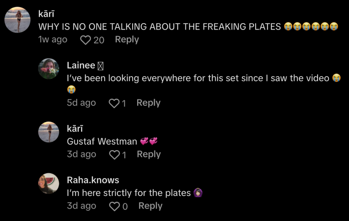 @terpenequeen13 asked, "WHY IS NO ONE TALKING ABOUT THE FREAKING PLATES?" Commenters replied, "I've been looking everywhere for this set since I saw the video," and "I'm here strictly for the plates."