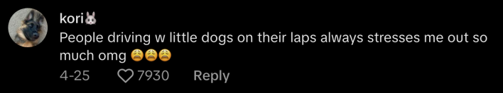“People driving with little dogs on their laps always stresses me out so much,” commented @sm0keythebear.