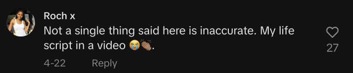 @r.ochelly commented, “Not a single thing said here is inaccurate. My life script in a video.”