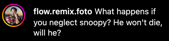“What happens if you neglect snoopy? He won't die, will he?” said @flow.remix.foto.